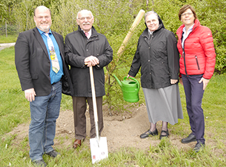 Ratsherr Rolf Fliß, Bürgermeister Rudolf Jelinek, Generaloberin Schwester Diethilde sowie Simone Raskop (Umweltdezernentin der Stadt Essen) vor der von den »Barmherzigen Schwestern« gespendeten Scheinbuche (v.l.n.r.).