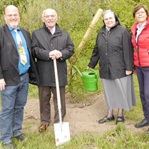 Ratsherr Rolf Fliß, Bürgermeister Rudolf Jelinek, Generaloberin Schwester Diethilde sowie Simone Raskop (Umweltdezernentin der Stadt Essen) vor der von den »Barmherzigen Schwestern« gespendeten Scheinbuche (v.l.n.r.).